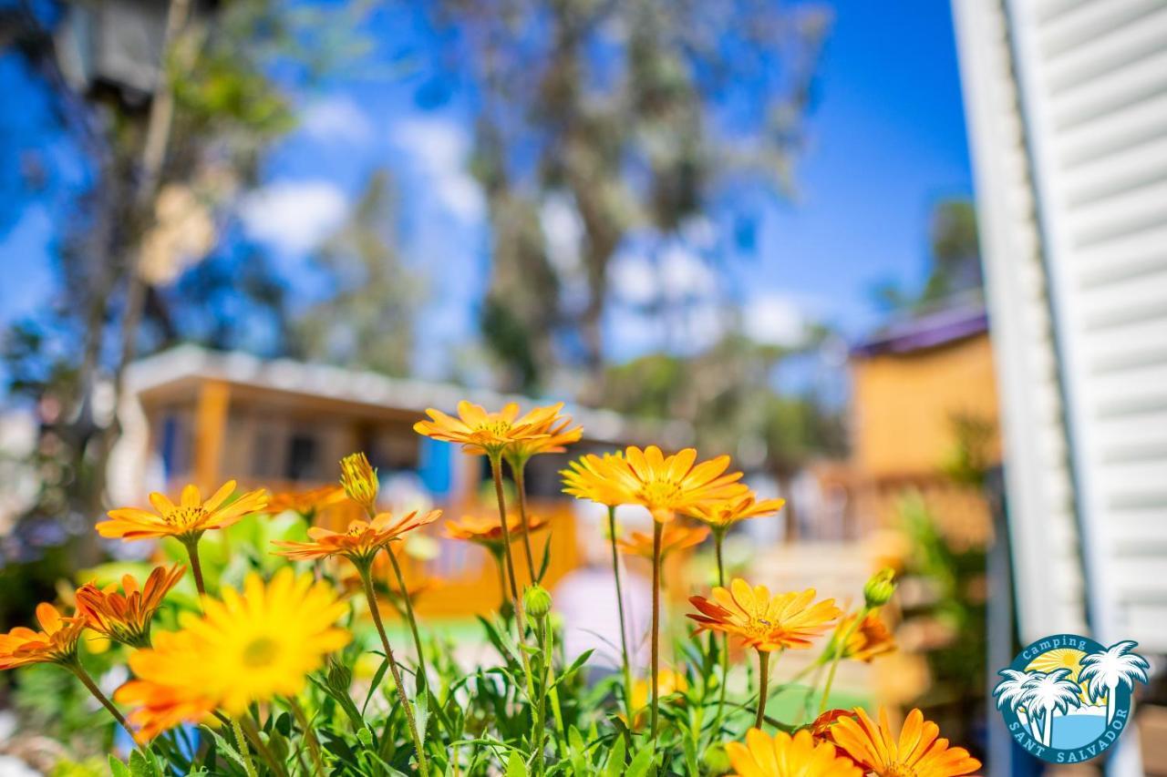فندق Camping Sant Salvador كوماروغا المظهر الخارجي الصورة